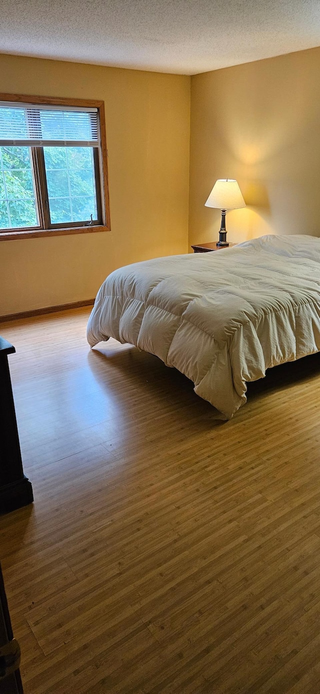 14092 Dearborn Path, Rosemount, MN 55068 - bedroom featuring wood finished floors, baseboards, and a textured ceiling