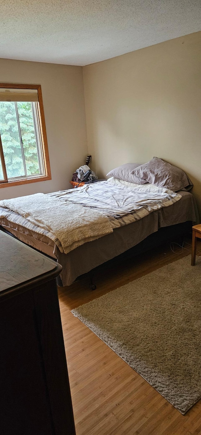 14092 Dearborn Path, Rosemount, MN 55068 - bedroom featuring light wood-type flooring and a textured ceiling