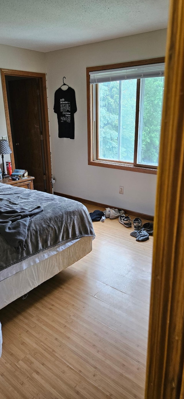 14092 Dearborn Path, Rosemount, MN 55068 - bedroom with wood finished floors, baseboards, and a textured ceiling