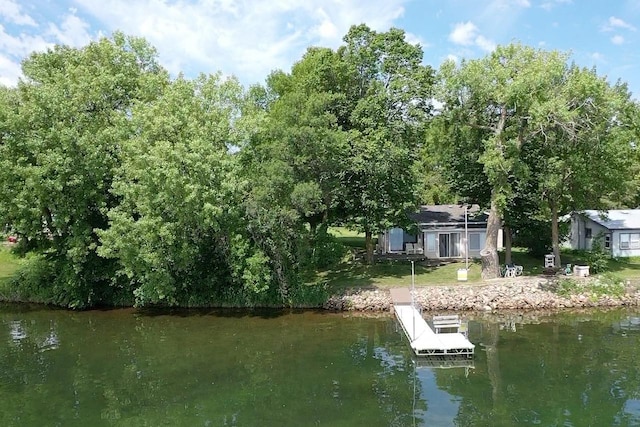43084 335th Ave, Dora Twp, MN 56528 - dock with a water view