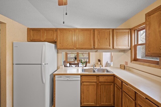 kitchen featuring white appliances, a sink, light countertops, brown cabinetry, and a ceiling fan