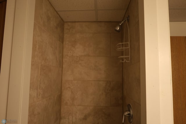 bathroom view of a tile shower