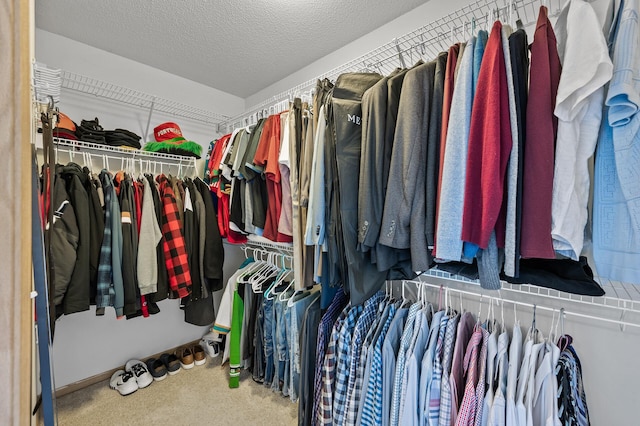 walk in closet featuring carpet flooring