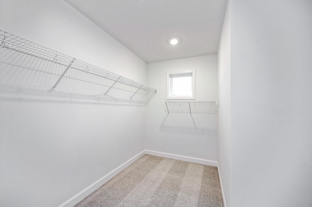 spacious closet featuring light colored carpet