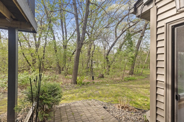 4348 Arden View Ct, Arden Hills, MN 55112 - view of yard with a patio