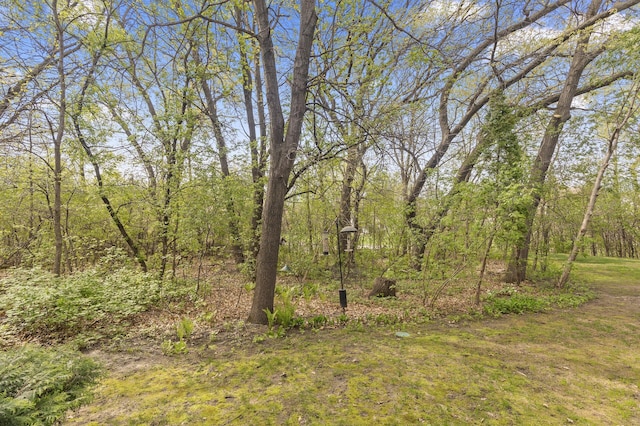4348 Arden View Ct, Arden Hills, MN 55112 - view of wooded area