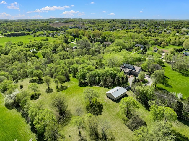 aerial view of a forest