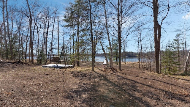 65770 Big Pine Rd, Finlayson, MN 55735 - view of yard featuring a water view