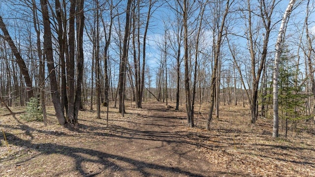 65770 Big Pine Rd, Finlayson, MN 55735 - view of yard