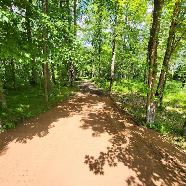 65770 Big Pine Rd, Finlayson, MN 55735 - view of street with a view of trees
