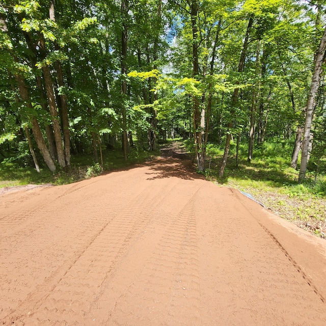 65770 Big Pine Rd, Finlayson, MN 55735 - view of street