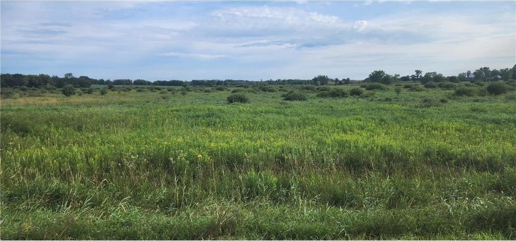16698 130th St, Milaca Twp, MN 56330