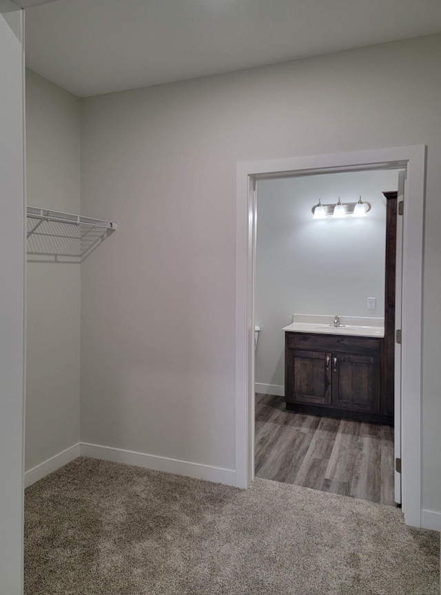 715 Lake Shore Dr NE Unit 105, Bemidji, MN 56601 - walk in closet with carpet flooring