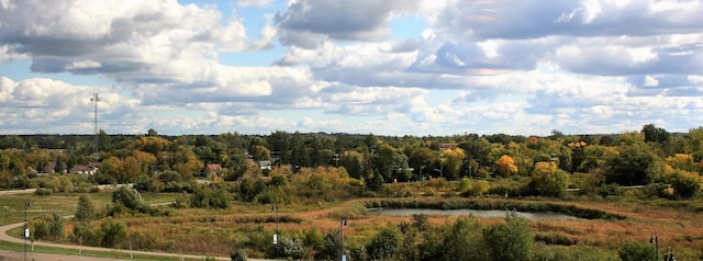 715 Lake Shore Dr NE Unit 105, Bemidji, MN 56601 - view of undeveloped land