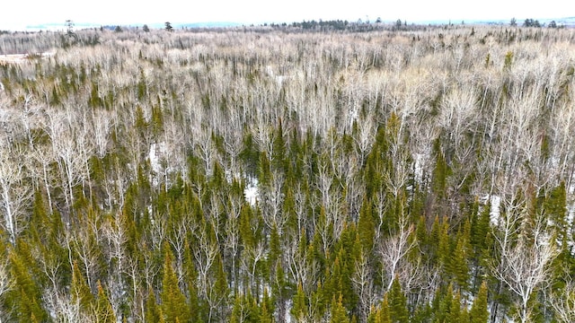 TBD Gappa Rd, Kabetogama Twp, MN 56669