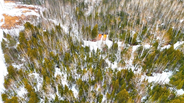 TBD Gappa Rd, Kabetogama Twp, MN 56669