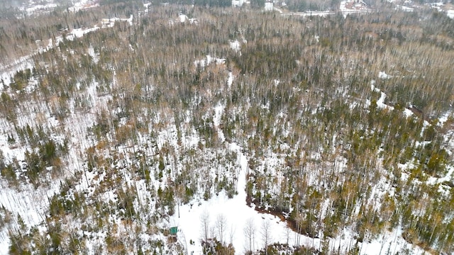 TBD Gappa Rd, Kabetogama Twp, MN 56669
