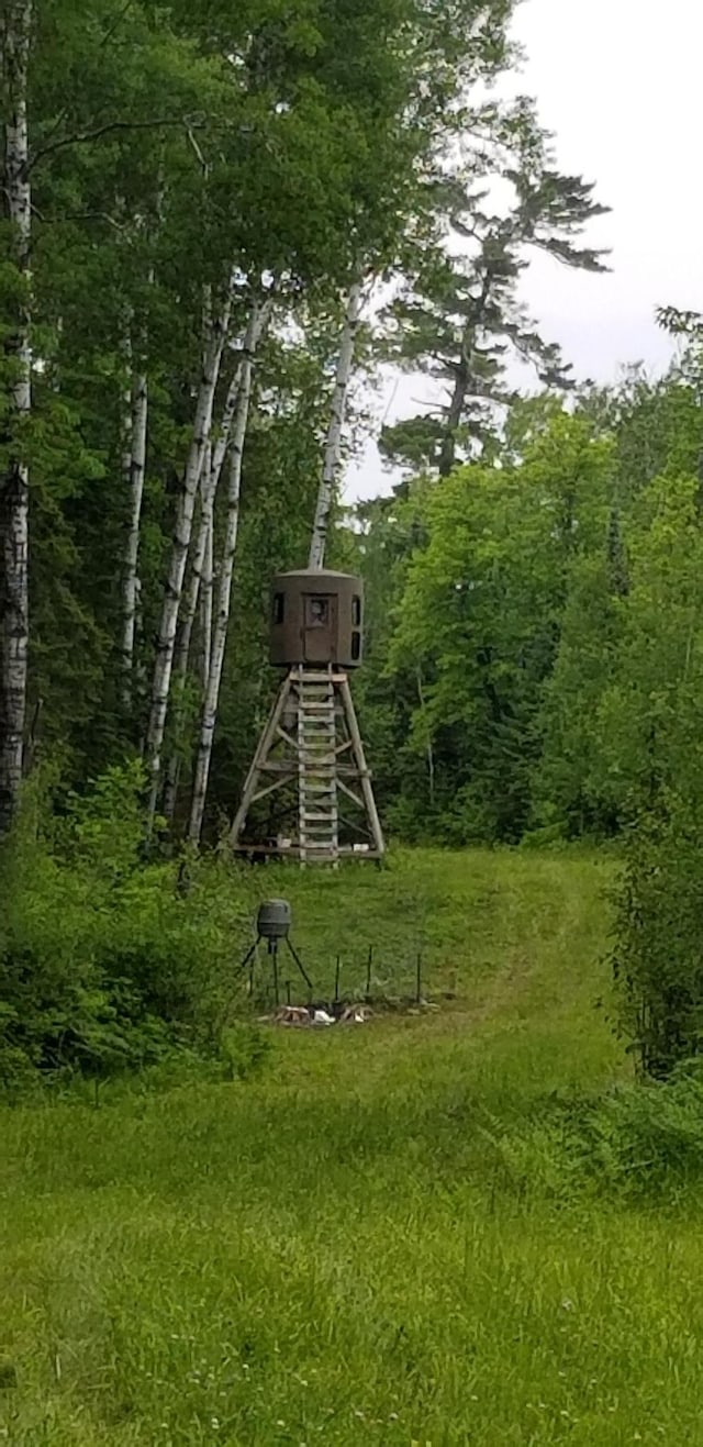 TBD Gappa Rd, Kabetogama Twp, MN 56669