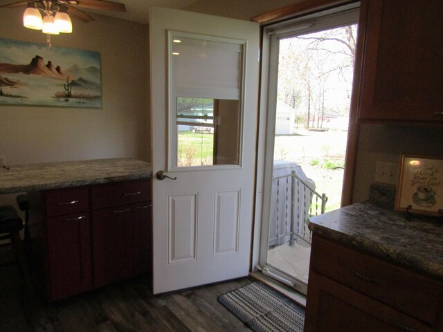 318 3rd St, Dawson, MN 56232 - entryway with dark wood finished floors, plenty of natural light, and a ceiling fan