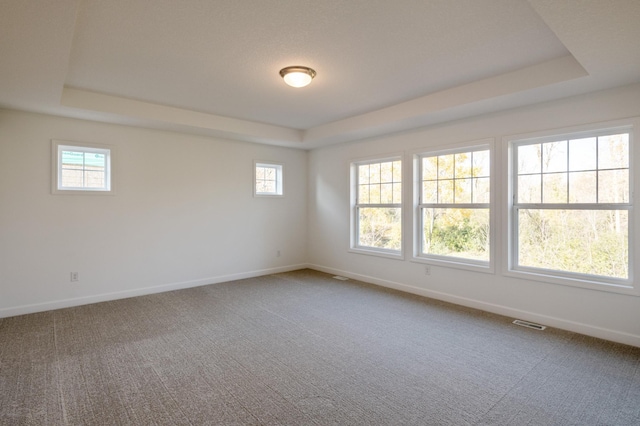 15710 112th Ave N, Dayton, MN 55369 - carpeted spare room with a raised ceiling and baseboards