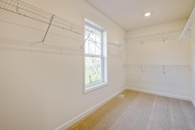 15710 112th Ave N, Dayton, MN 55369 - walk in closet featuring light carpet