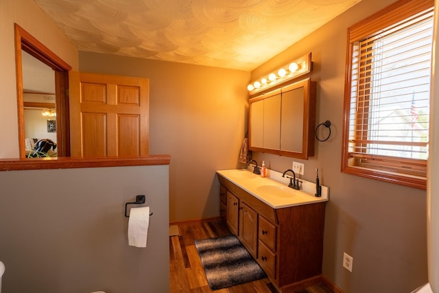 bathroom with wood finished floors, plenty of natural light, and double vanity