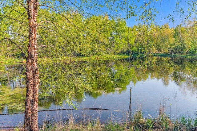 8691 Edison St NE, Blaine, MN 55449 - photo 2