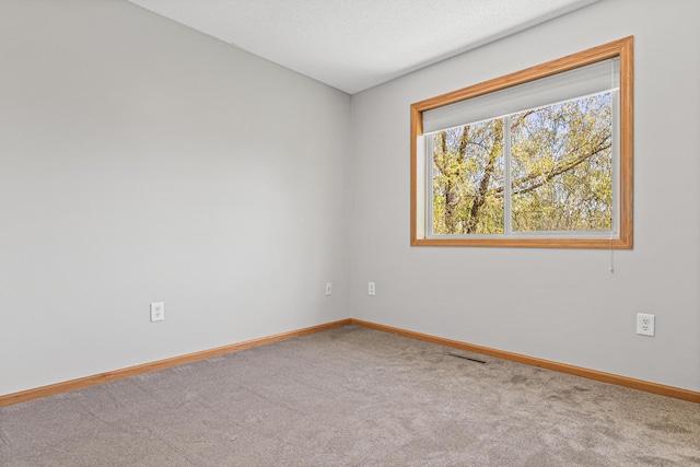 8691 Edison St NE, Blaine, MN 55449 - photo 20