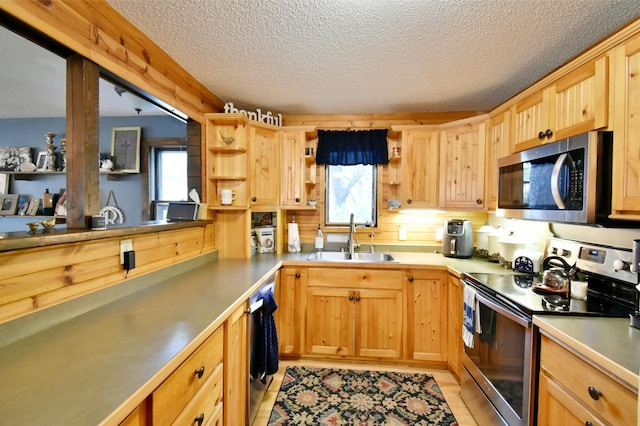 5151 99th Ave, Clear Lake, MN 55319 - kitchen featuring stainless steel appliances, a sink, healthy amount of natural light, a textured ceiling, and open shelves