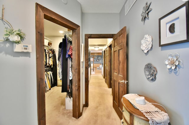 5151 99th Ave, Clear Lake, MN 55319 - hallway featuring light colored carpet