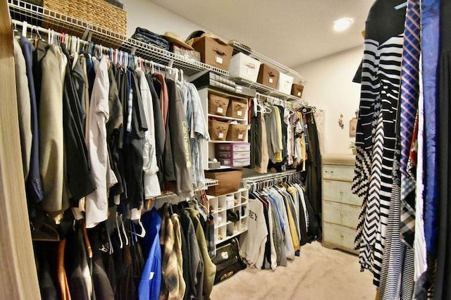5151 99th Ave, Clear Lake, MN 55319 - walk in closet with carpet flooring