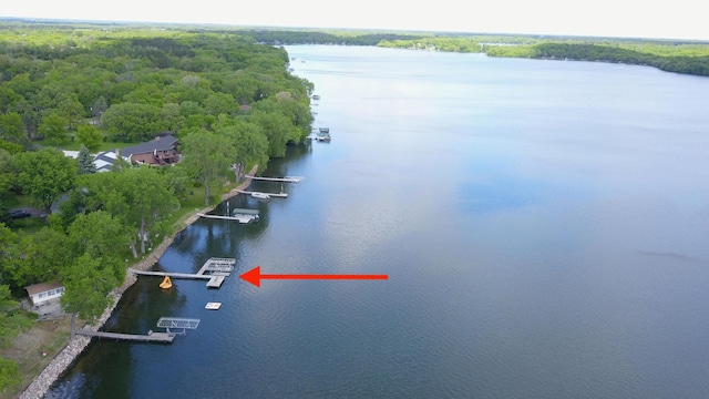 5151 99th Ave, Clear Lake, MN 55319 - bird's eye view of a nearby body of water and a forest