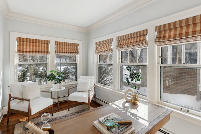 sunroom / solarium featuring plenty of natural light and a baseboard heating unit