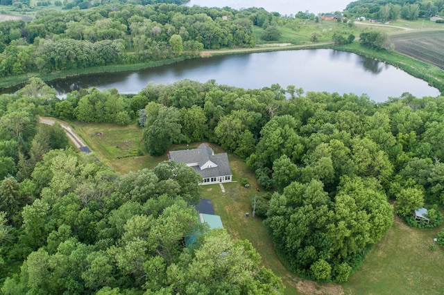 15126 Tumuli Rd, Dalton, MN 56324 - aerial view of a nearby body of water and a forest