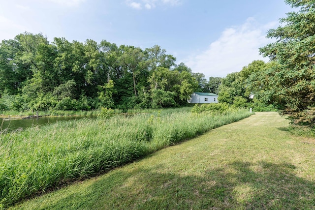15126 Tumuli Rd, Dalton, MN 56324 - view of green lawn with a view of trees