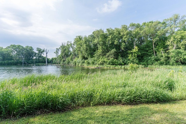 15126 Tumuli Rd, Dalton, MN 56324 - water view featuring a forest
