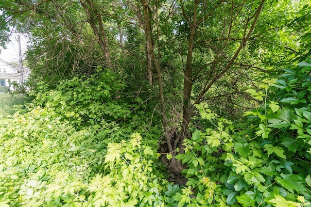 15126 Tumuli Rd, Dalton, MN 56324 - view of undeveloped land