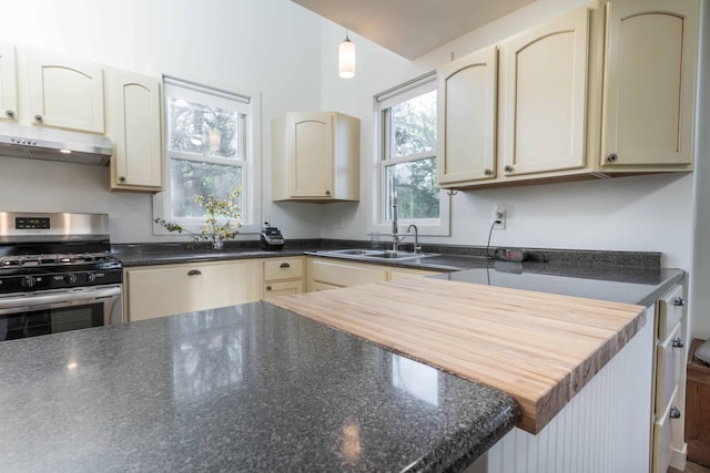 15126 Tumuli Rd, Dalton, MN 56324 - kitchen with under cabinet range hood, gas stove, and a sink