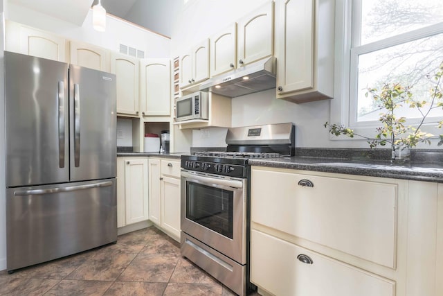 15126 Tumuli Rd, Dalton, MN 56324 - kitchen featuring stainless steel appliances, under cabinet range hood, dark countertops, and plenty of natural light