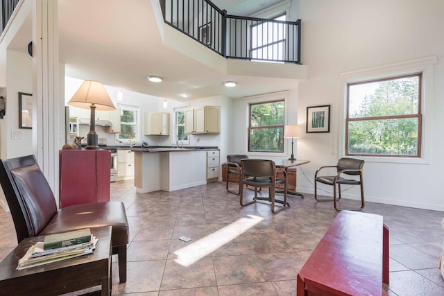 15126 Tumuli Rd, Dalton, MN 56324 - living room featuring baseboards and a towering ceiling