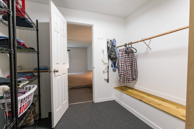 15126 Tumuli Rd, Dalton, MN 56324 - walk in closet with dark colored carpet