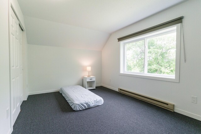 15126 Tumuli Rd, Dalton, MN 56324 - bedroom with a baseboard heating unit, vaulted ceiling, dark carpet, baseboards, and a closet