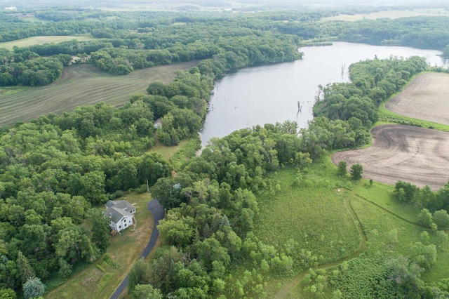 15126 Tumuli Rd, Dalton, MN 56324 - aerial view of property and surrounding area featuring a large body of water and a forest