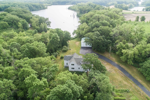 15126 Tumuli Rd, Dalton, MN 56324 - view of subject property featuring a large body of water and a forest