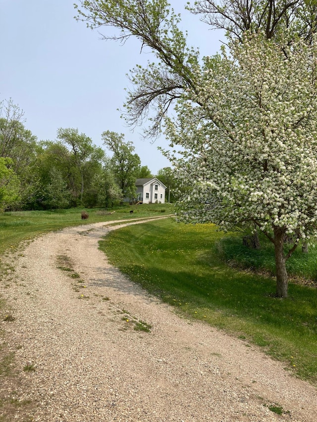 15126 Tumuli Rd, Dalton, MN 56324 - view of dirt / gravel road