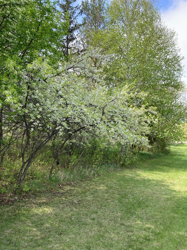 15126 Tumuli Rd, Dalton, MN 56324 - view of green lawn