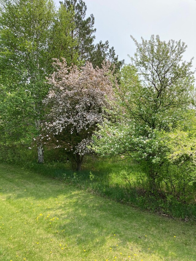 15126 Tumuli Rd, Dalton, MN 56324 - view of local wilderness
