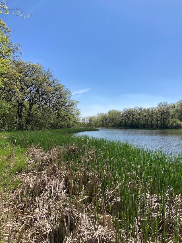 15126 Tumuli Rd, Dalton, MN 56324 - water view with a heavily wooded area