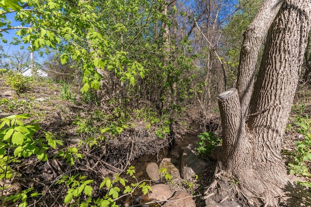 15126 Tumuli Rd, Dalton, MN 56324 - view of nature