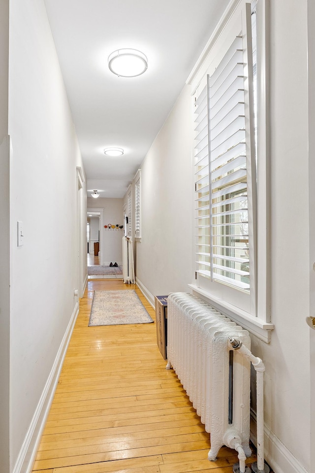 421 Summit Ave Unit 2, Saint Paul, MN 55102 - hall with light wood-style floors, radiator, and baseboards